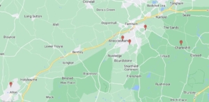 Bee swarm local map