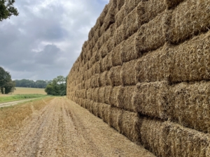 Autumn_1915 Autumn photo of bales of hay