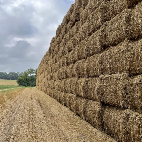 Autumn photo of bales of hay