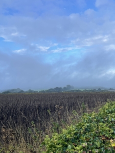 Autumn_2232 Autumn photo clouds over a blue sky