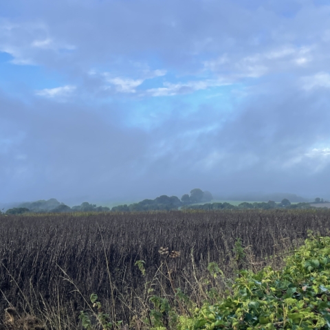 Autumn photo clouds over a blue sky