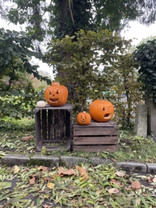 Autumn_2280 Autumn photo of pumpkins