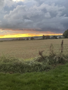 Autumn_2330 Autumn photo of sunset over field of wheat