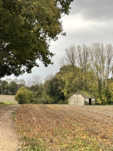 Autumn_6207 Autumn photo of field of hay