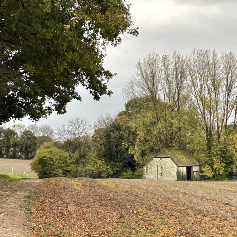 Autumn photo of field of hay