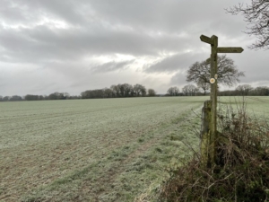 A winter scene with thick clouds over a green field