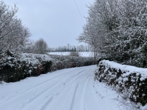 A winter scene with tire tracks in the snow