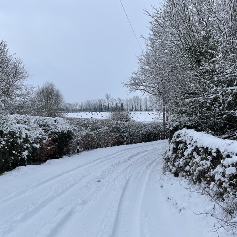 A winter scene with tire tracks in the snow