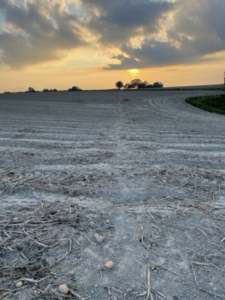 A winter sky over a snow covered field at sunset