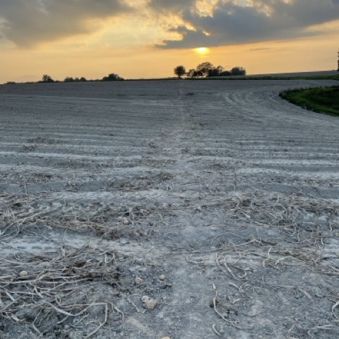A winter sky over a snow covered field at sunset