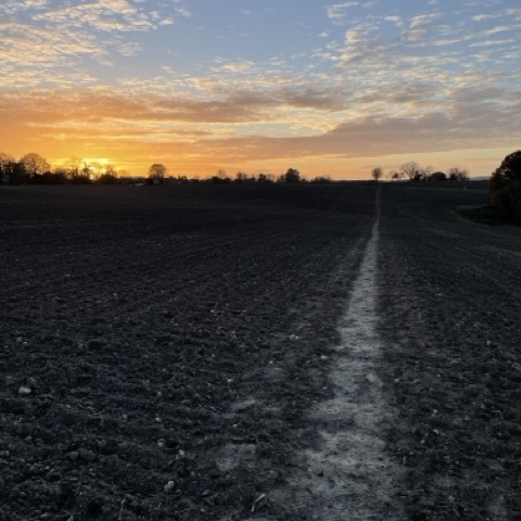 A winter sky over a field at sunset