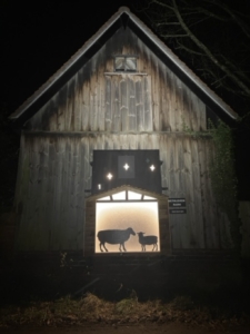 Christmas view of stars and animals in a barn