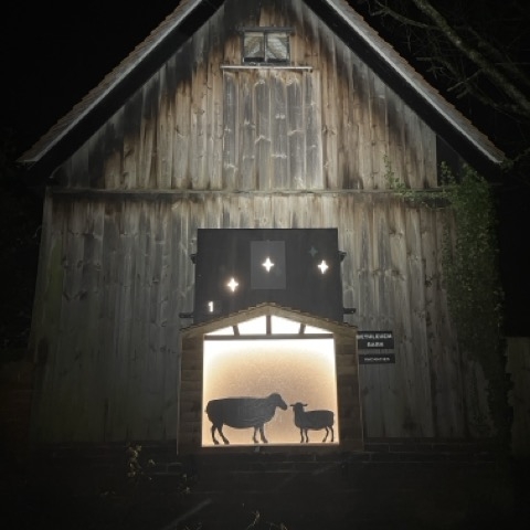 Christmas view of stars and animals in a barn