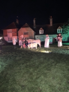 Winter scene out door nativity scene with animals