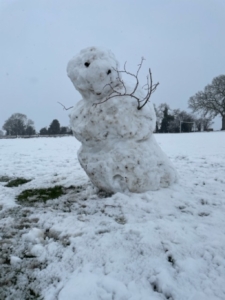 Winter scene with a snowman